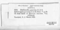 Image Associated With the Occurence